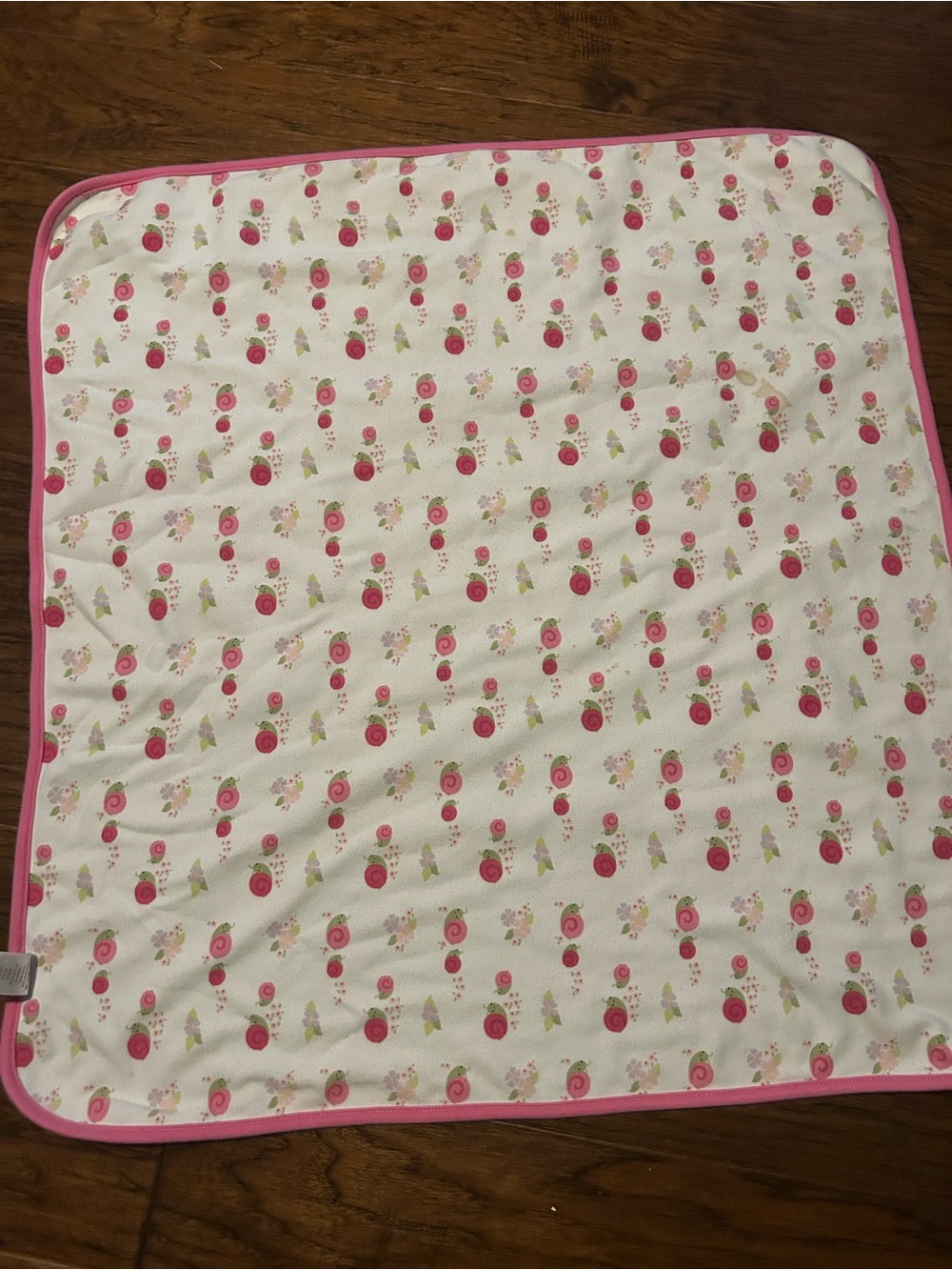 Gymboree Baby Blanket Pink Snail Floral 2011 Reversible Embroidered